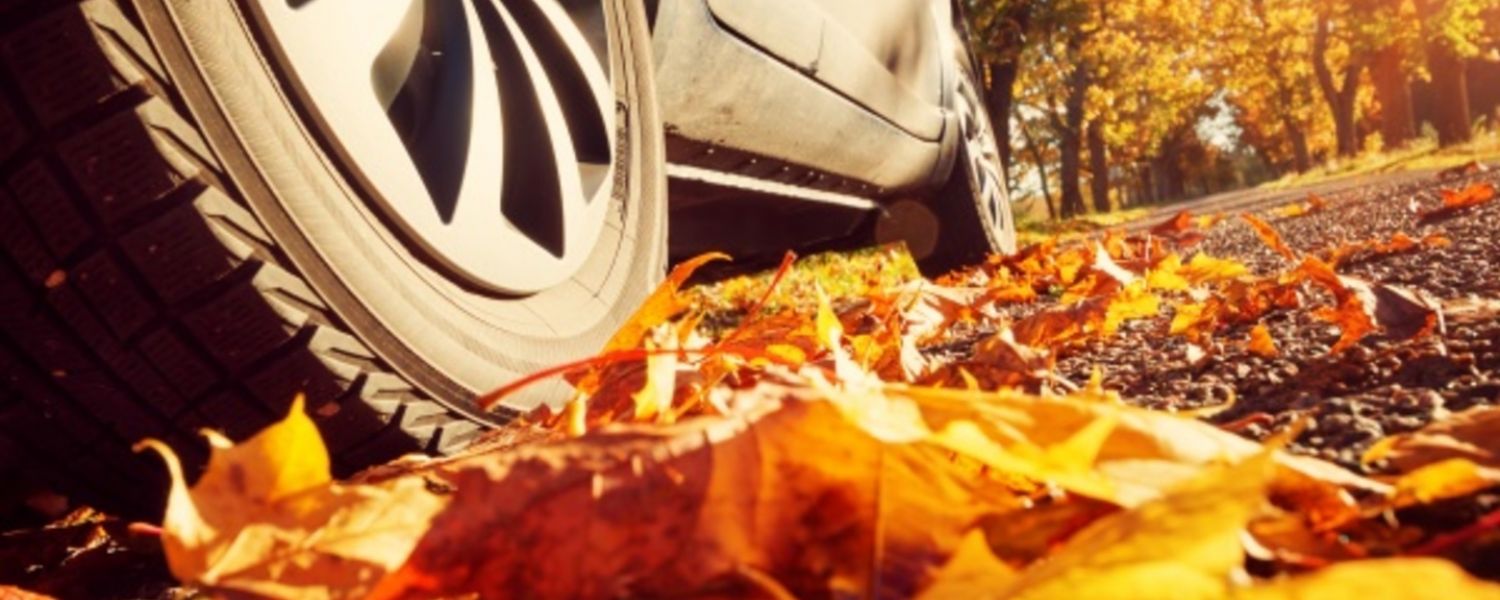 Top Tips For Autumn Driving